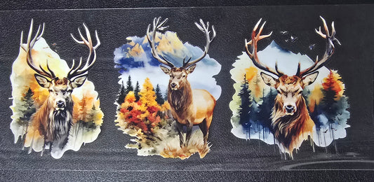 Elk 5